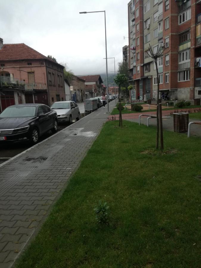 Apartman Gaga Daire Pirot Dış mekan fotoğraf