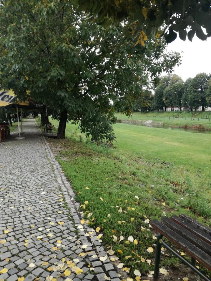 Apartman Gaga Daire Pirot Dış mekan fotoğraf