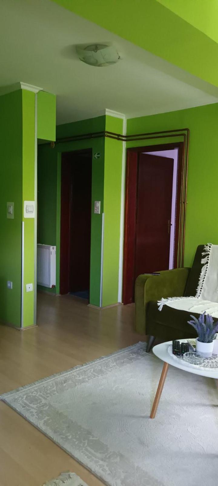 Apartman Gaga Daire Pirot Dış mekan fotoğraf